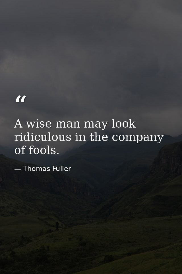 A wise man may look ridiculous in the company of fools. — Thomas Fuller