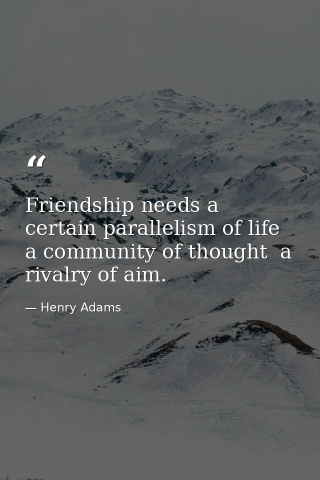 Friendship needs a certain parallelism of life  a community of thought  a rivalry of aim. — Henry Adams