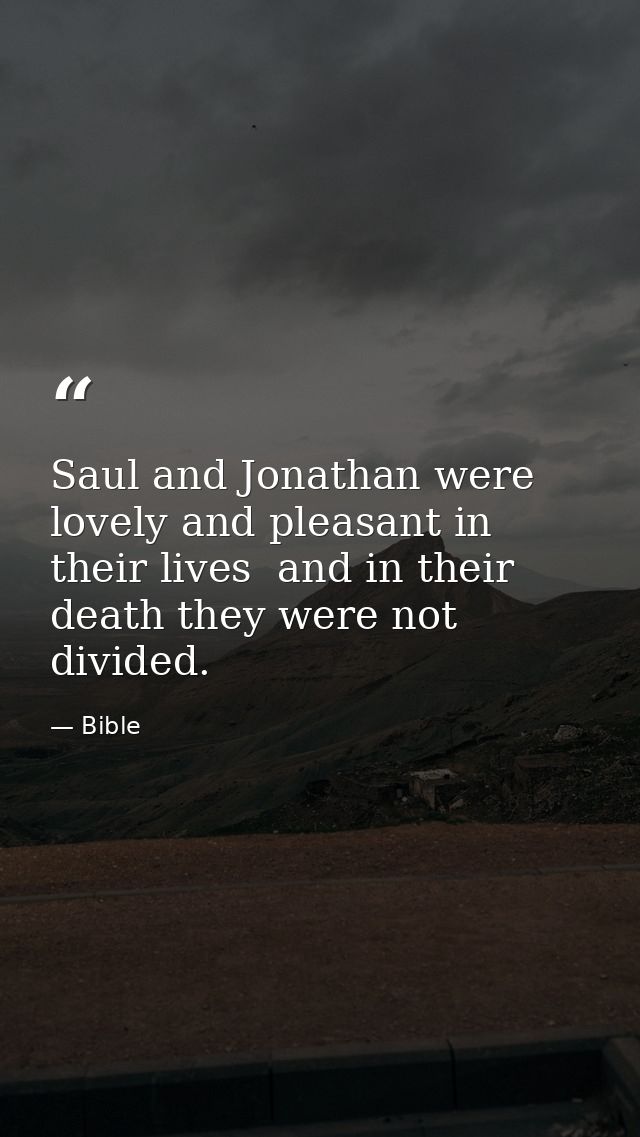Saul and Jonathan were lovely and pleasant in their lives  and in their death they were not divided. — Bible