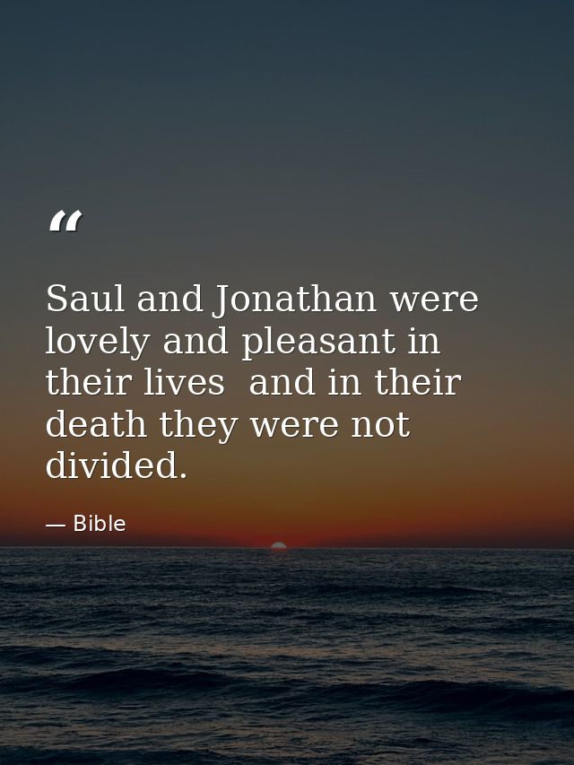 Saul and Jonathan were lovely and pleasant in their lives  and in their death they were not divided. — Bible