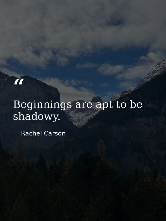 Beginnings are apt to be shadowy. — Rachel Carson