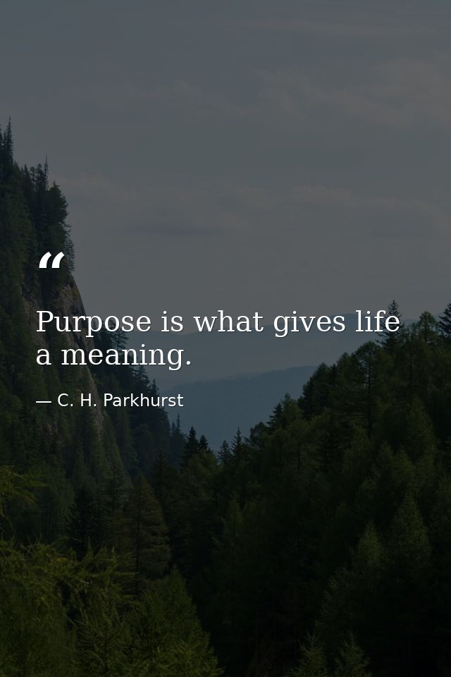 Purpose is what gives life a meaning. — C. H. Parkhurst