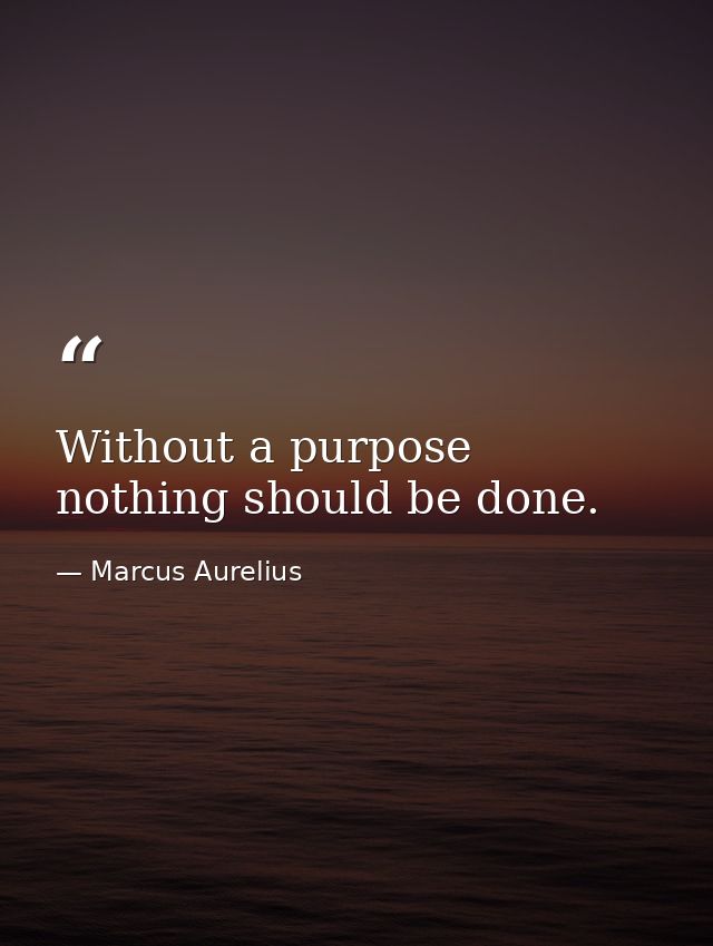 Without a purpose  nothing should be done. — Marcus Aurelius