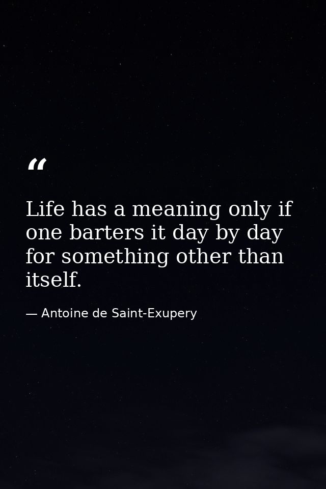 Life has a meaning only if one barters it day by day for something other than itself. — Antoine de Saint-Exupery