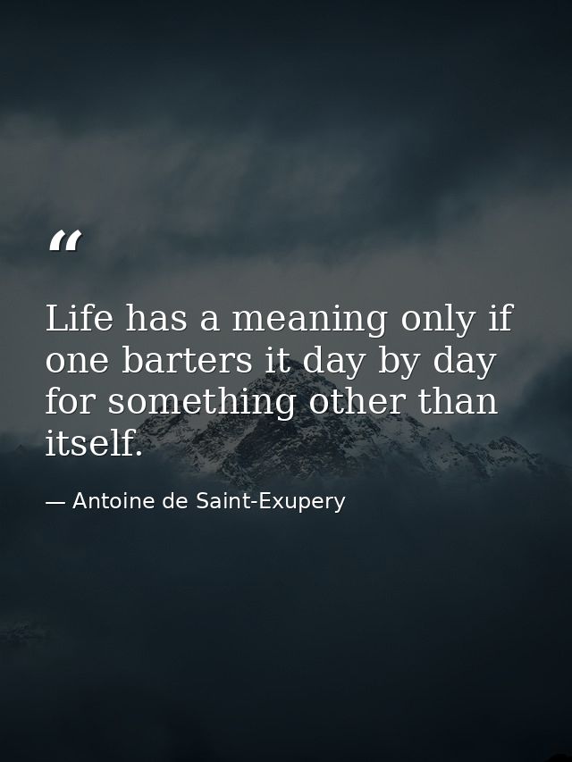 Life has a meaning only if one barters it day by day for something other than itself. — Antoine de Saint-Exupery