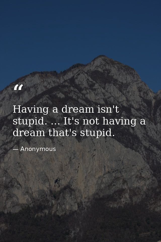 Having a dream isn't stupid. ... It's not having a dream that's stupid. — Anonymous