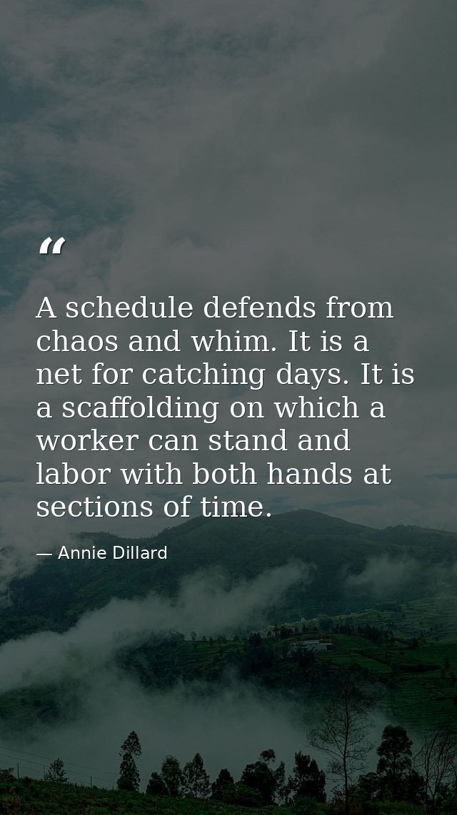 A schedule defends from chaos and whim. It is a net for catching days. It is a scaffolding on which a worker can stand a — Annie Dillard