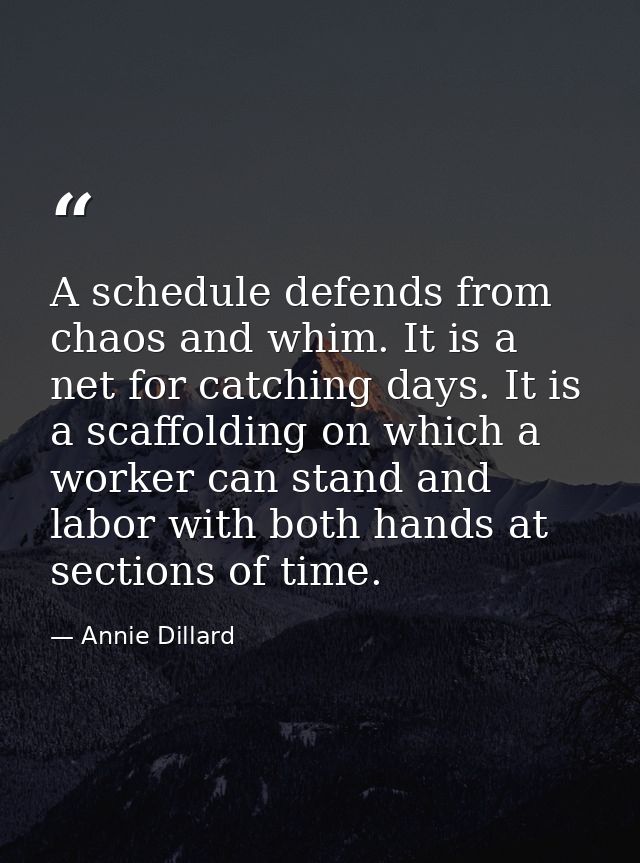 A schedule defends from chaos and whim. It is a net for catching days. It is a scaffolding on which a worker can stand a — Annie Dillard