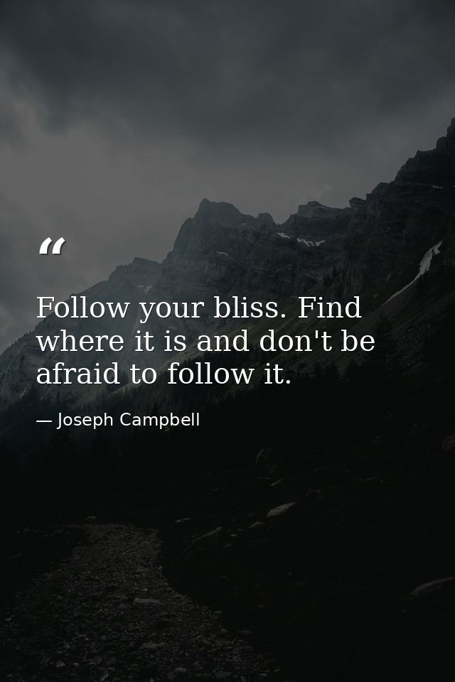 Follow your bliss. Find where it is and don't be afraid to follow it. — Joseph Campbell