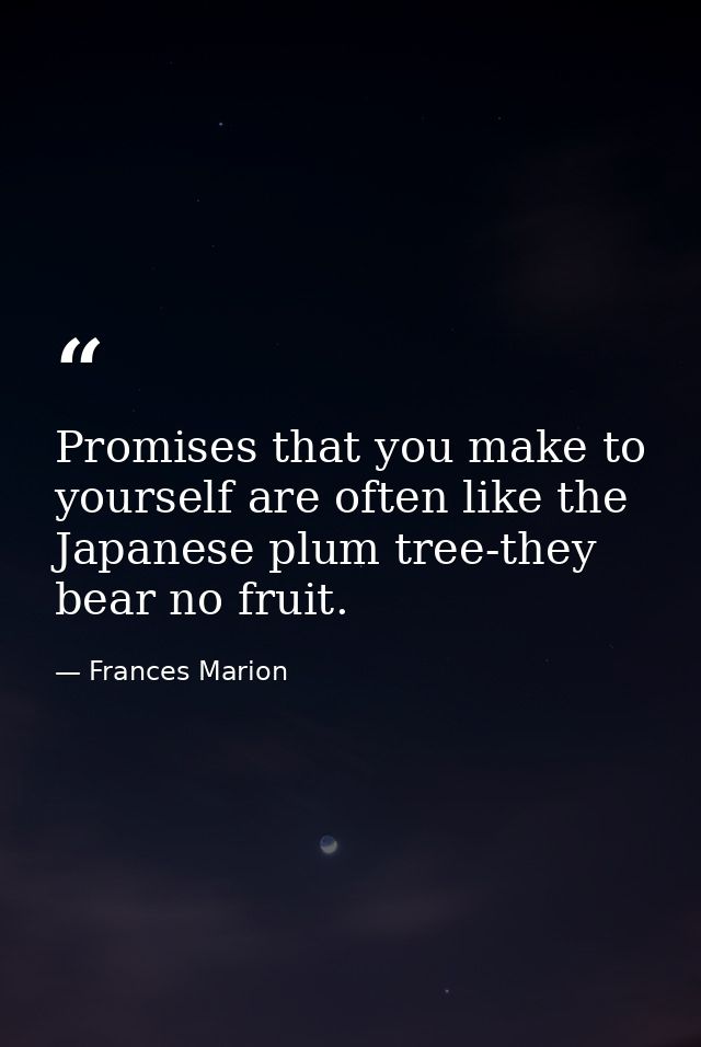 Promises that you make to yourself are often like the Japanese plum tree-they bear no fruit. — Frances Marion