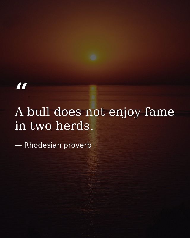 A bull does not enjoy fame in two herds. — Rhodesian proverb