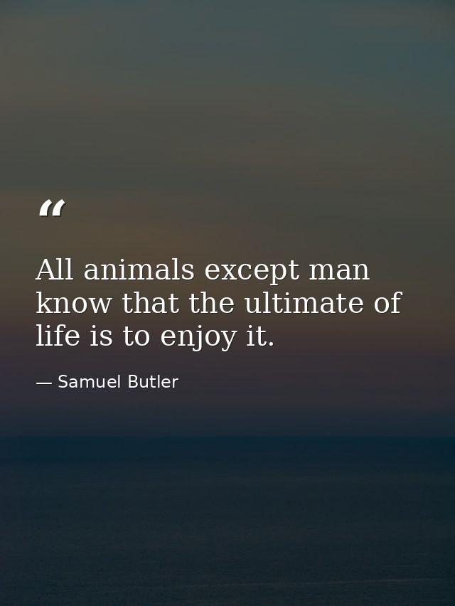 All animals except man know that the ultimate of life is to enjoy it. — Samuel Butler