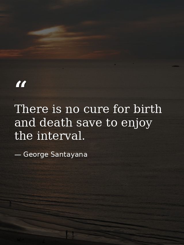 There is no cure for birth and death save to enjoy the interval. — George Santayana