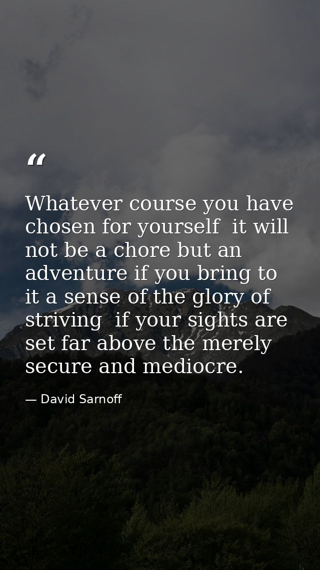 Whatever course you have chosen for yourself  it will not be a chore but an adventure if you bring to it a sense of the  — David Sarnoff