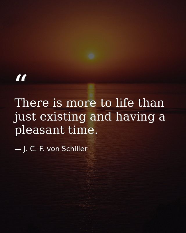 There is more to life than just existing and having a pleasant time. — J. C. F. von Schiller