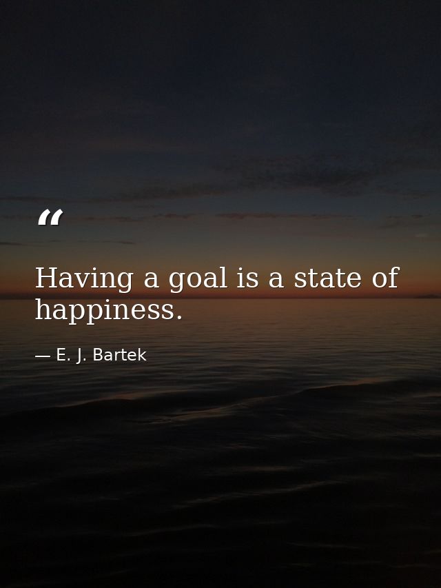 Having a goal is a state of happiness. — E. J. Bartek