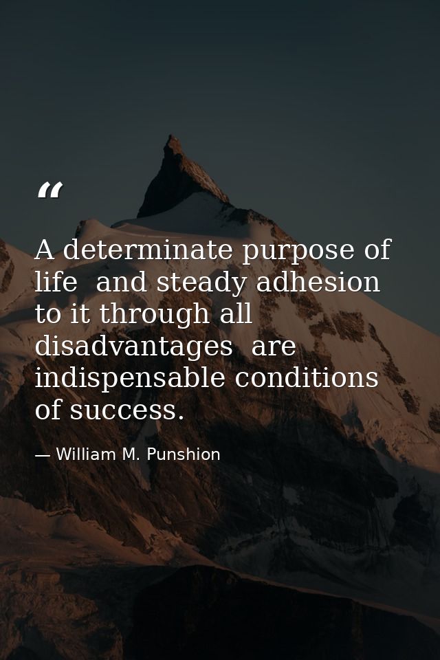 A determinate purpose of life  and steady adhesion to it through all disadvantages  are indispensable conditions of succ — William M. Punshion