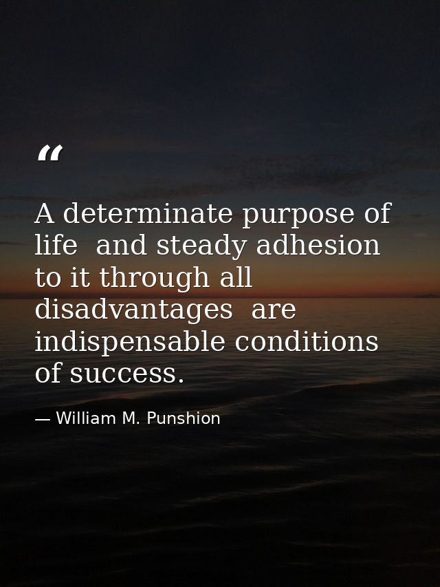 A determinate purpose of life  and steady adhesion to it through all disadvantages  are indispensable conditions of succ — William M. Punshion