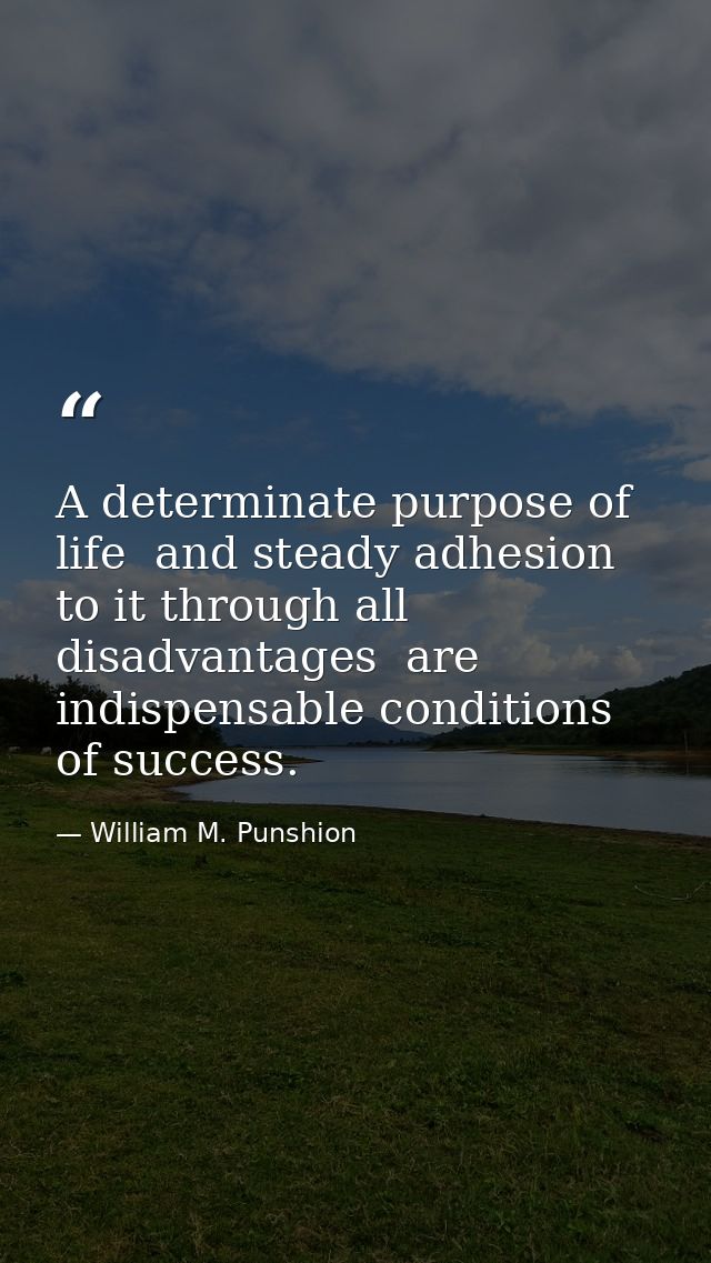 A determinate purpose of life  and steady adhesion to it through all disadvantages  are indispensable conditions of succ — William M. Punshion