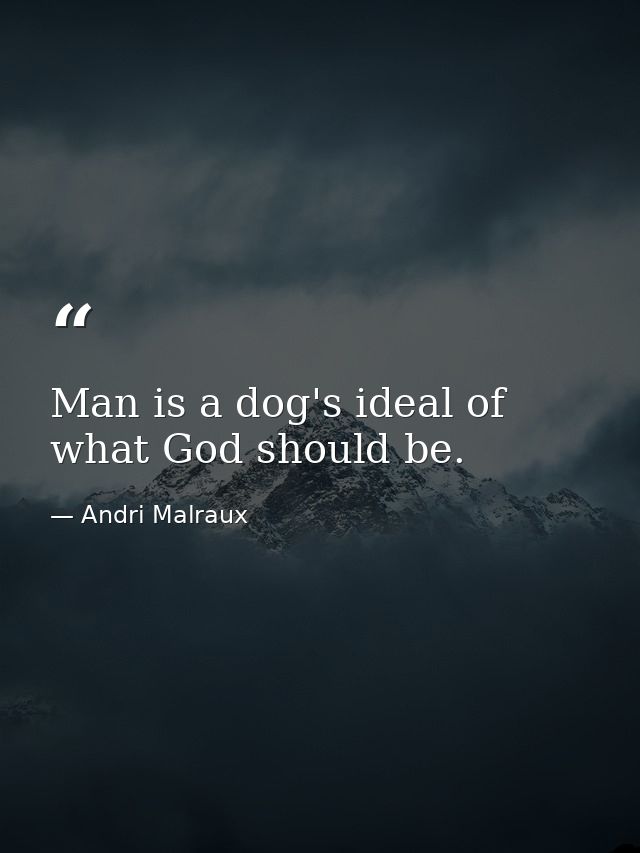 Man is a dog's ideal of what God should be. — Andri Malraux