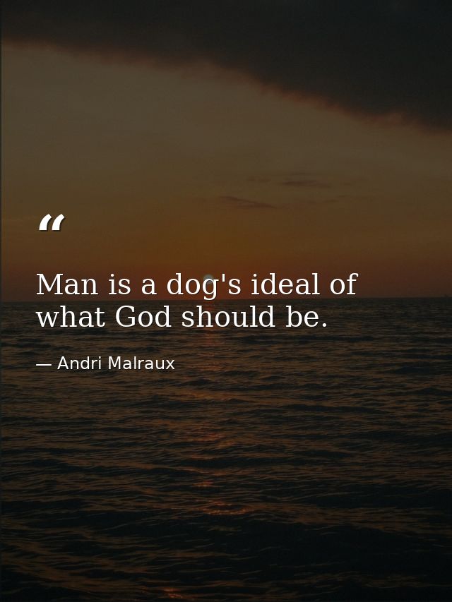 Man is a dog's ideal of what God should be. — Andri Malraux