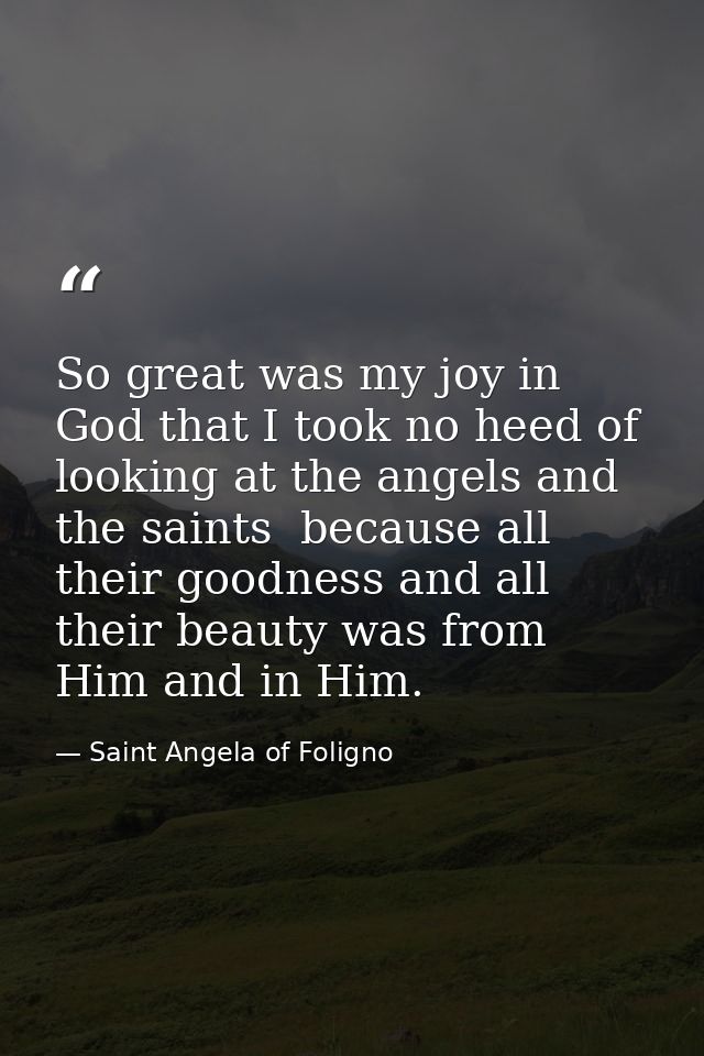 So great was my joy in God that I took no heed of looking at the angels and the saints  because all their goodness and a — Saint Angela of Foligno
