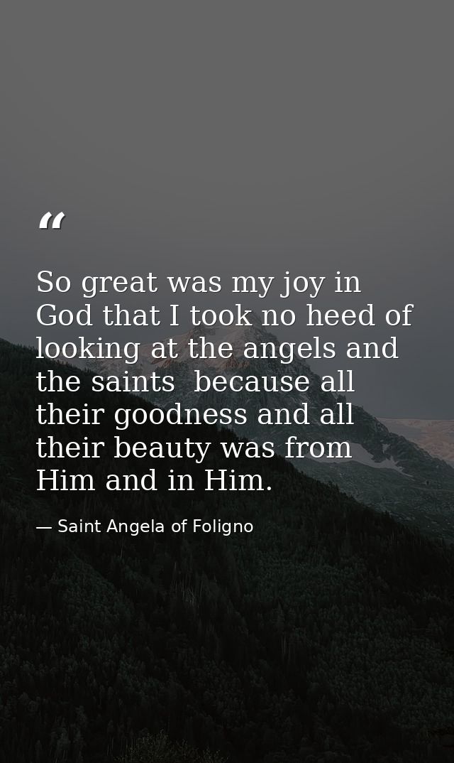 So great was my joy in God that I took no heed of looking at the angels and the saints  because all their goodness and a — Saint Angela of Foligno