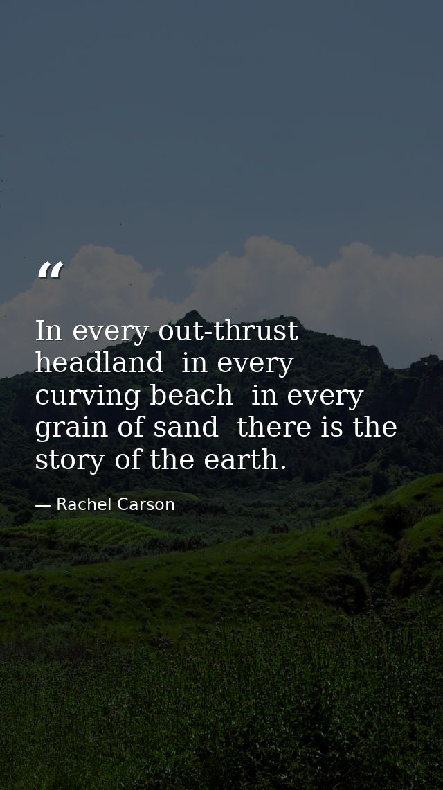 In every out-thrust headland  in every curving beach  in every grain of sand  there is the story of the earth. — Rachel Carson