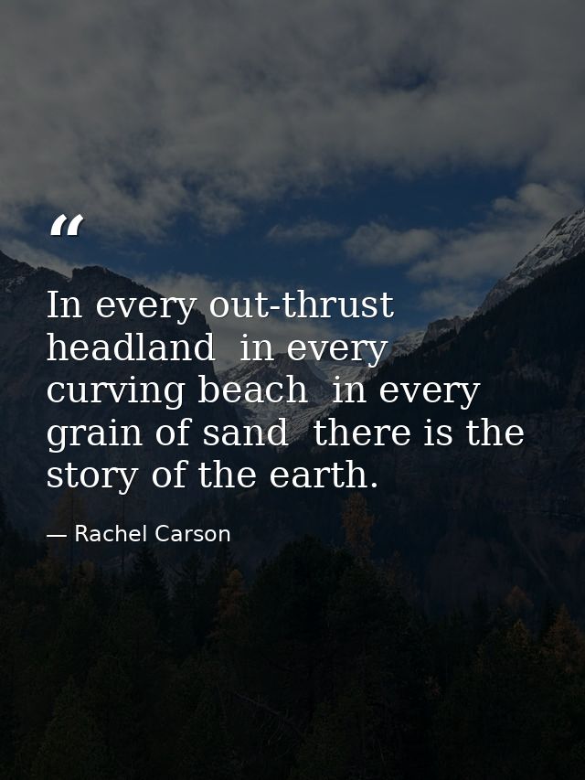 In every out-thrust headland  in every curving beach  in every grain of sand  there is the story of the earth. — Rachel Carson