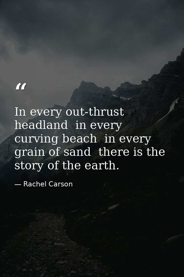 In every out-thrust headland  in every curving beach  in every grain of sand  there is the story of the earth. — Rachel Carson