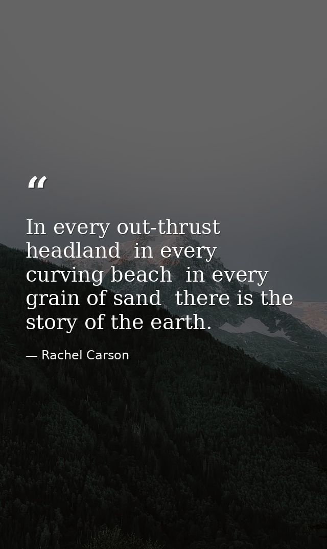 In every out-thrust headland  in every curving beach  in every grain of sand  there is the story of the earth. — Rachel Carson
