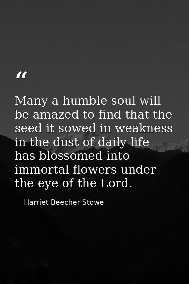 Many a humble soul will be amazed to find that the seed it sowed in weakness  in the dust of daily life  has blossomed i — Harriet Beecher Stowe