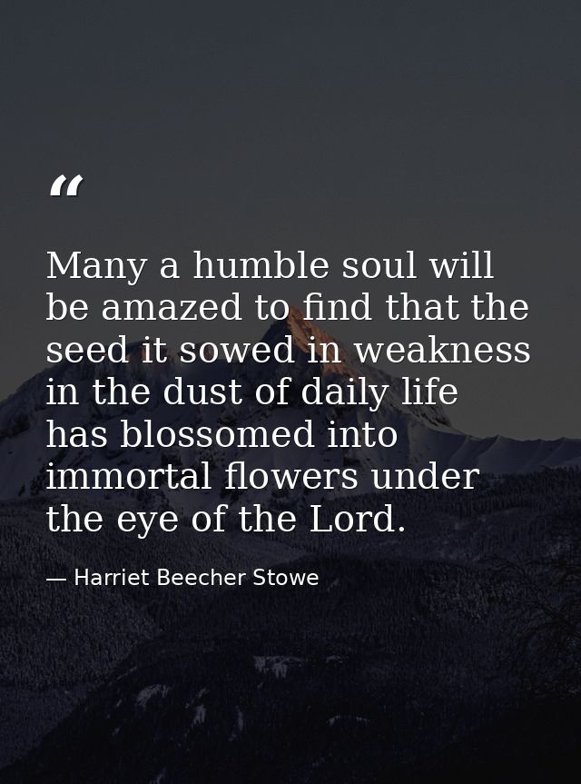 Many a humble soul will be amazed to find that the seed it sowed in weakness  in the dust of daily life  has blossomed i — Harriet Beecher Stowe