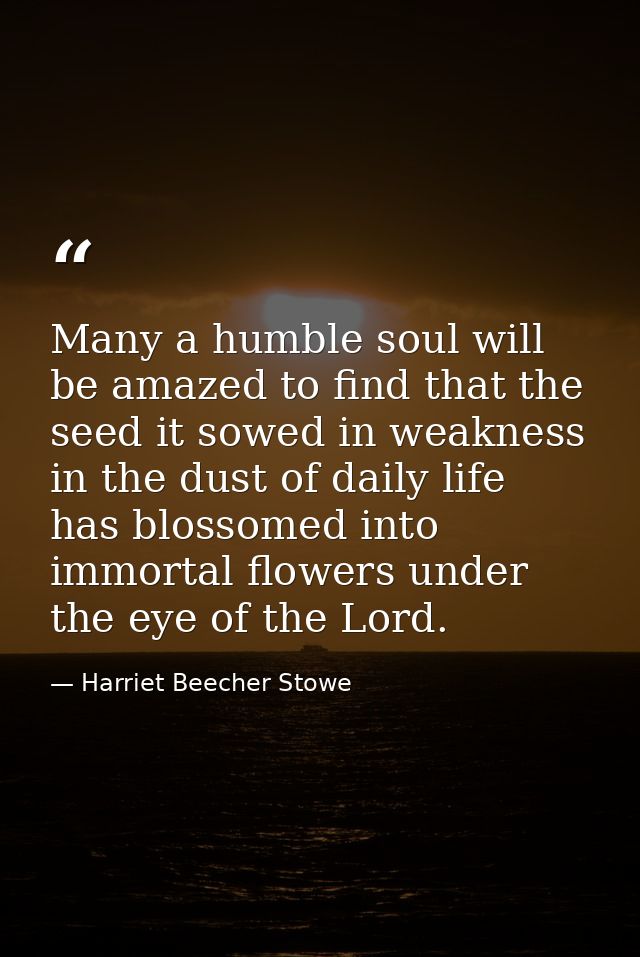 Many a humble soul will be amazed to find that the seed it sowed in weakness  in the dust of daily life  has blossomed i — Harriet Beecher Stowe