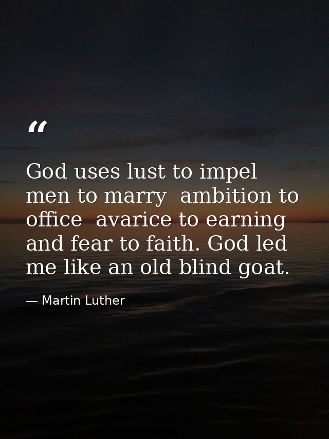 God uses lust to impel men to marry  ambition to office  avarice to earning  and fear to faith. God led me like an old b — Martin Luther