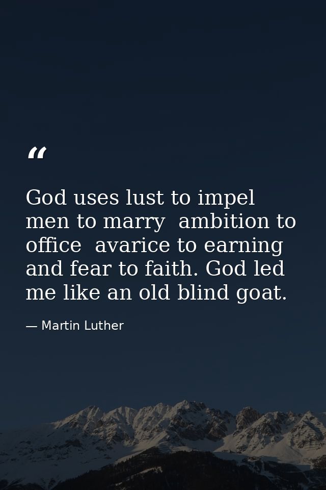 God uses lust to impel men to marry  ambition to office  avarice to earning  and fear to faith. God led me like an old b — Martin Luther