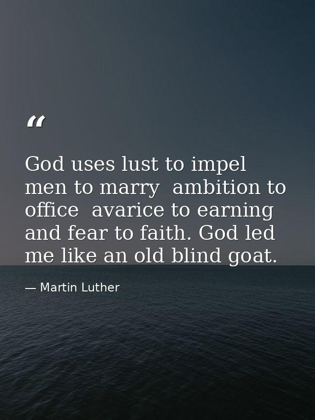 God uses lust to impel men to marry  ambition to office  avarice to earning  and fear to faith. God led me like an old b — Martin Luther