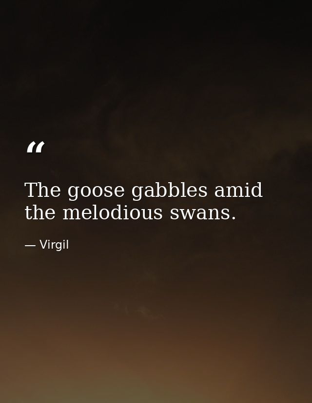 The goose gabbles amid the melodious swans. — Virgil