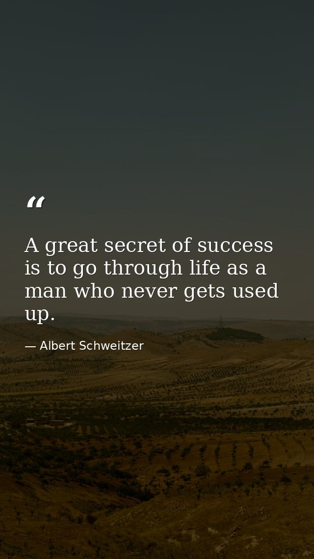 A great secret of success is to go through life as a man who never gets used up. — Albert Schweitzer