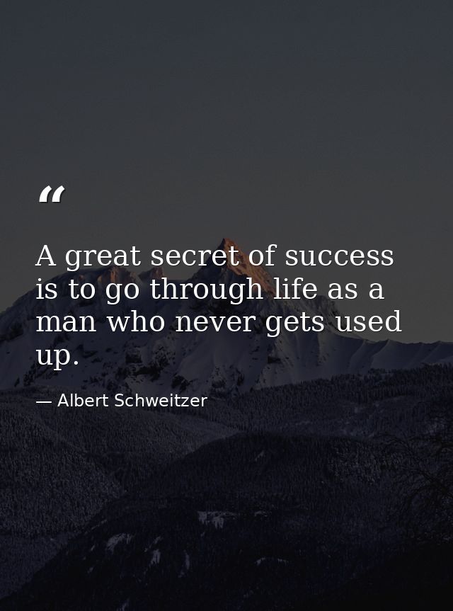 A great secret of success is to go through life as a man who never gets used up. — Albert Schweitzer