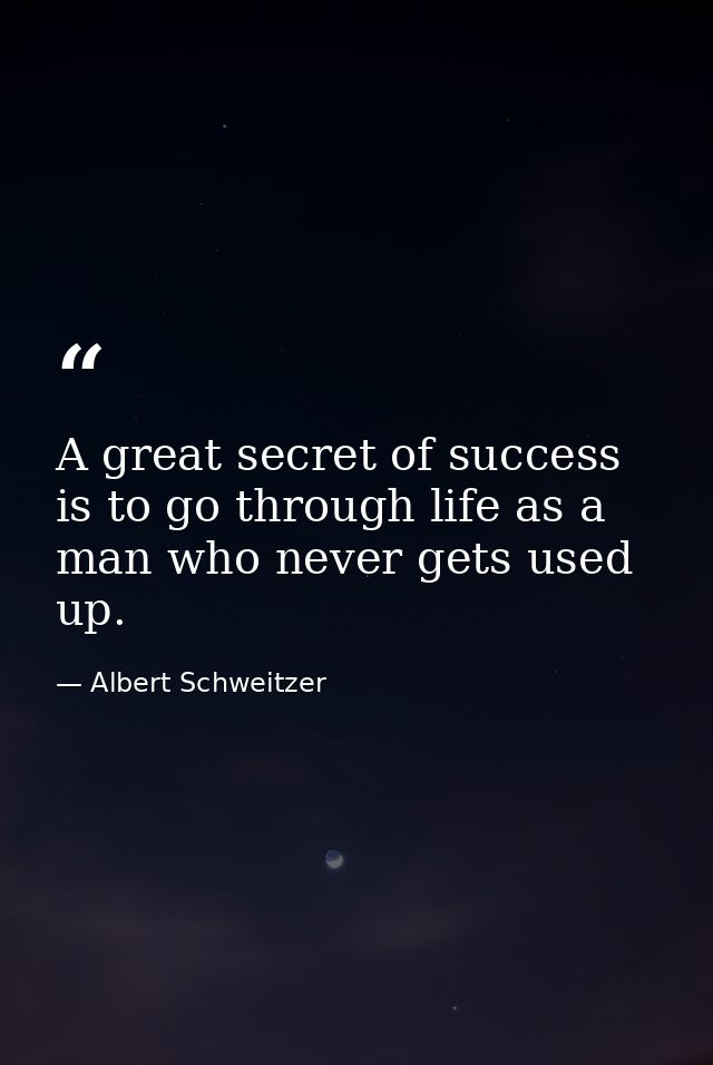 A great secret of success is to go through life as a man who never gets used up. — Albert Schweitzer