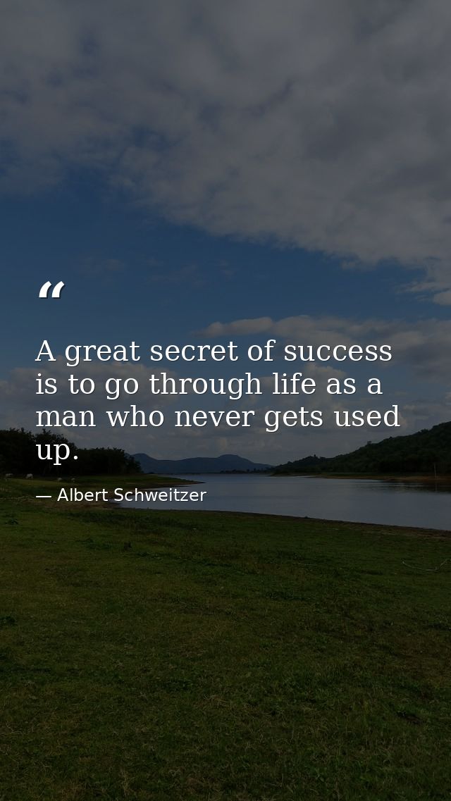 A great secret of success is to go through life as a man who never gets used up. — Albert Schweitzer