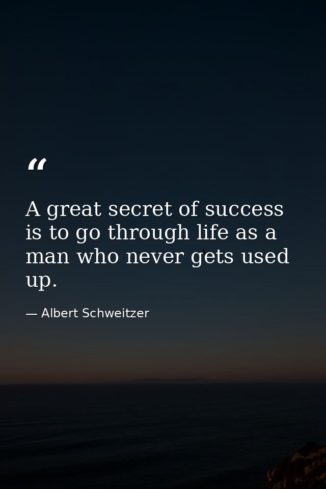 A great secret of success is to go through life as a man who never gets used up. — Albert Schweitzer