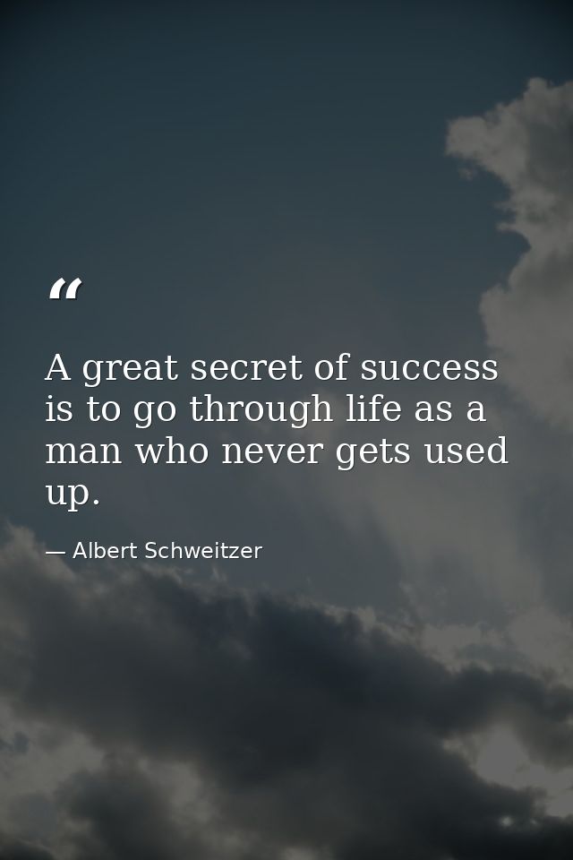 A great secret of success is to go through life as a man who never gets used up. — Albert Schweitzer