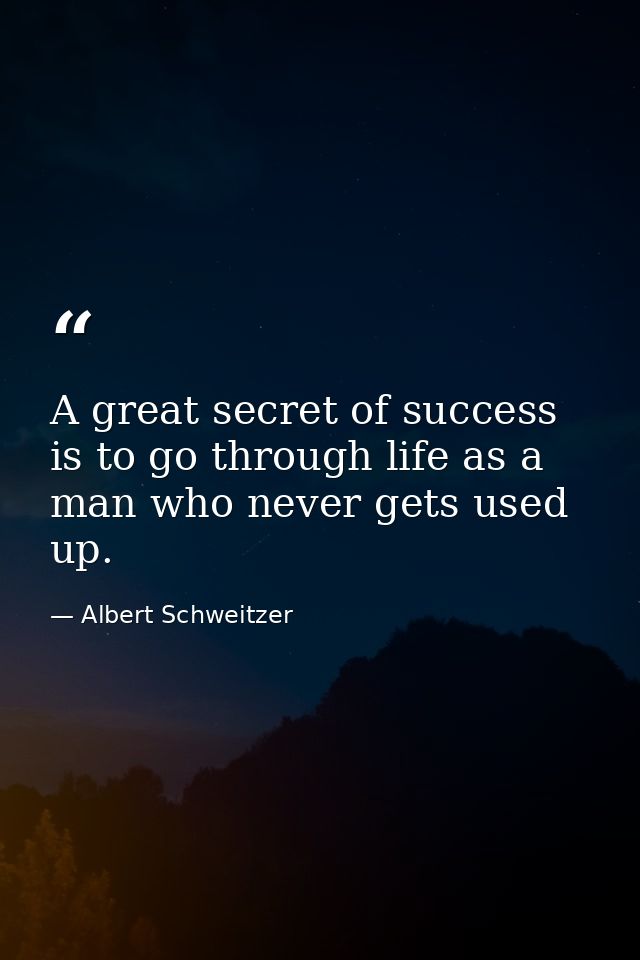A great secret of success is to go through life as a man who never gets used up. — Albert Schweitzer