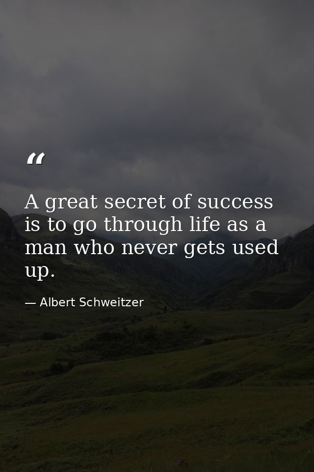 A great secret of success is to go through life as a man who never gets used up. — Albert Schweitzer