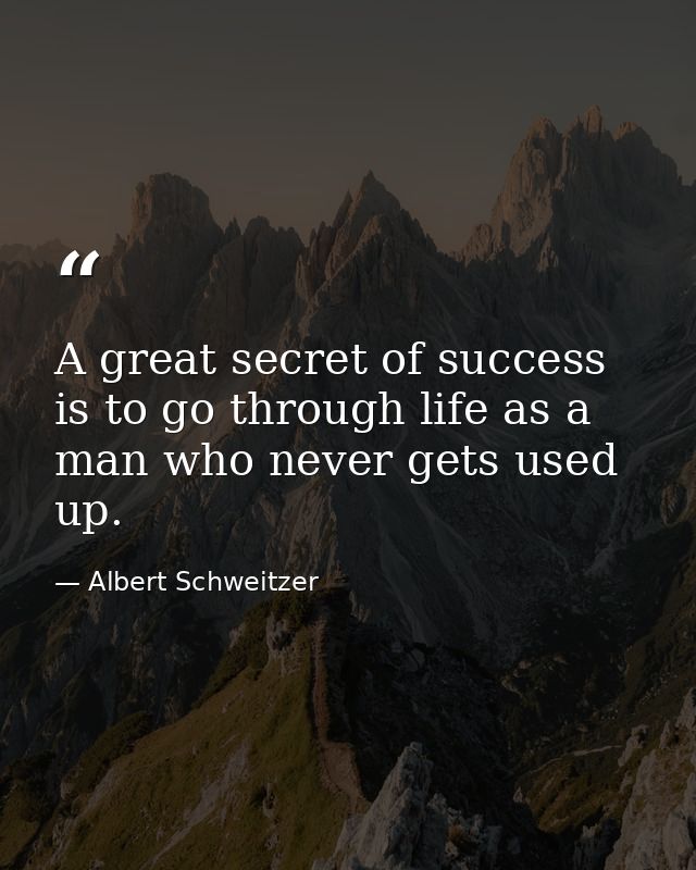 A great secret of success is to go through life as a man who never gets used up. — Albert Schweitzer