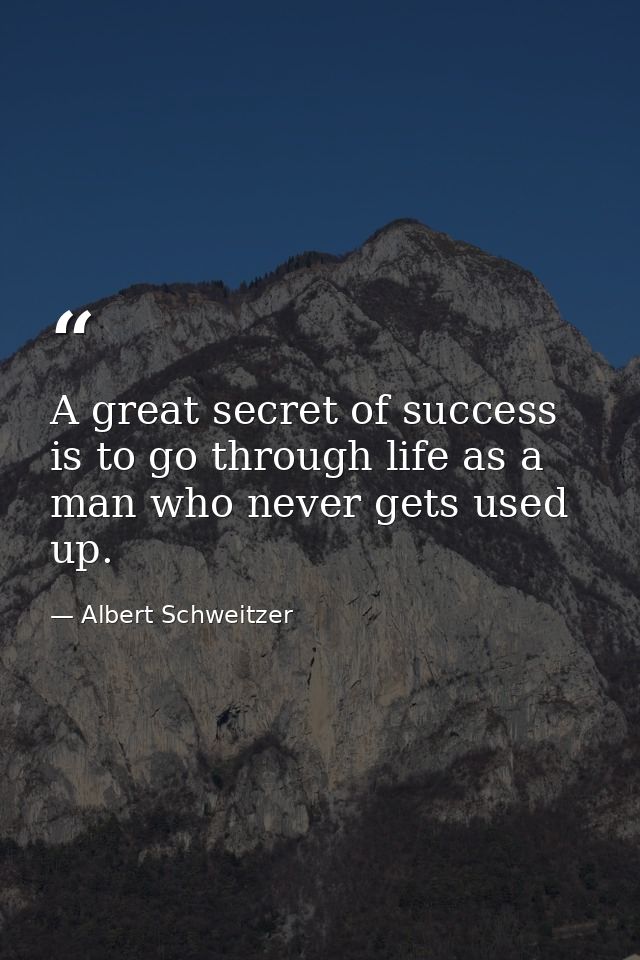 A great secret of success is to go through life as a man who never gets used up. — Albert Schweitzer