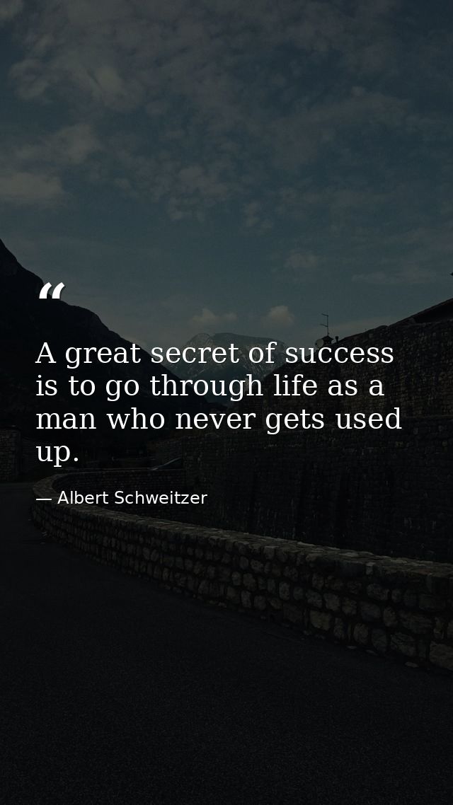 A great secret of success is to go through life as a man who never gets used up. — Albert Schweitzer