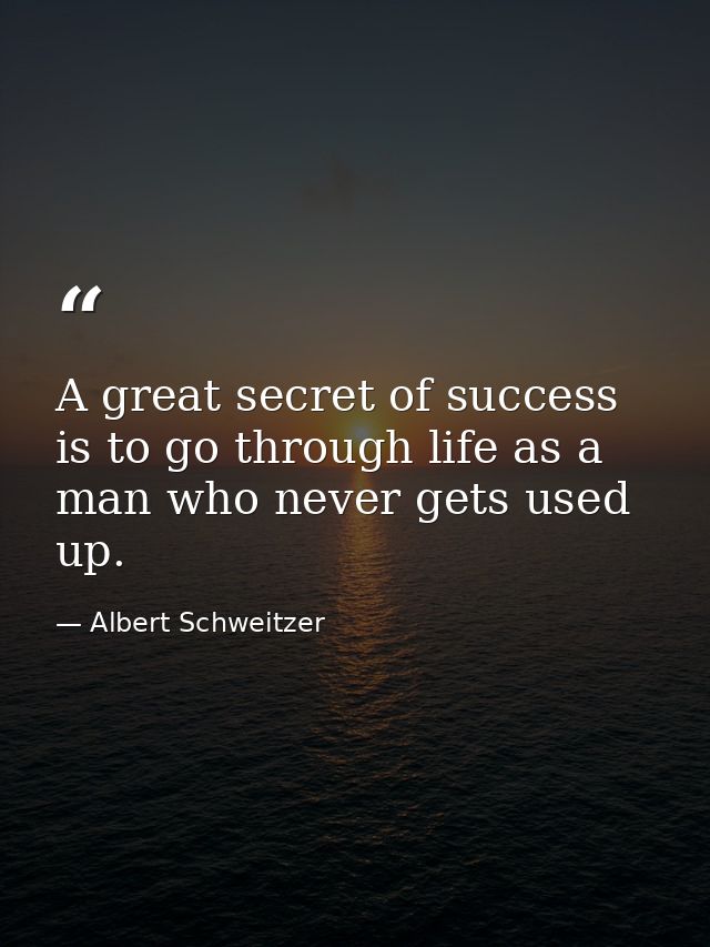 A great secret of success is to go through life as a man who never gets used up. — Albert Schweitzer